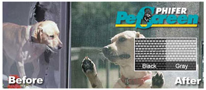 before and after comparison of a dog's appearance, demonstrating the beneficial effects of using the Phifer pet screen product, which seems to prevent dogs from damaging or pushing through normal window screens when looking outside
